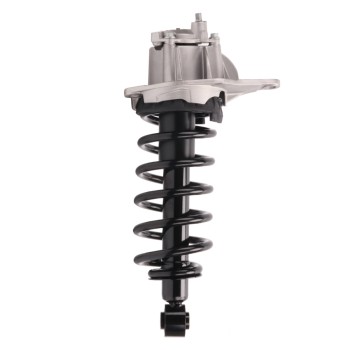 Suspension Strut and Coil Spring Assembly