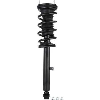 Suspension Strut and Coil Spring Assembly