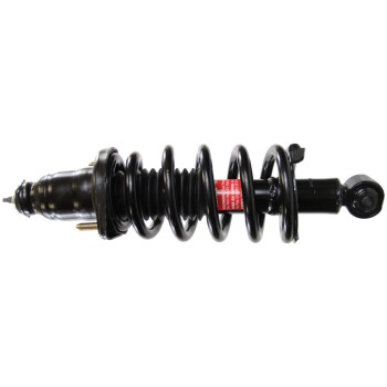 Suspension Strut and Coil Spring Assembly