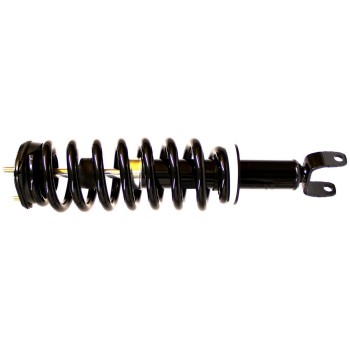 Suspension Strut and Coil Spring Assembly