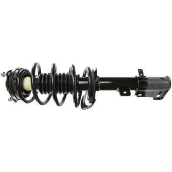 Suspension Strut and Coil Spring Assembly