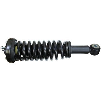 Suspension Strut and Coil Spring Assembly