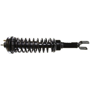 Suspension Strut and Coil Spring Assembly