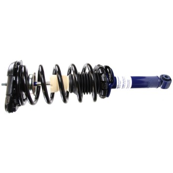 Suspension Strut and Coil Spring Assembly