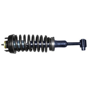 Suspension Strut and Coil Spring Assembly