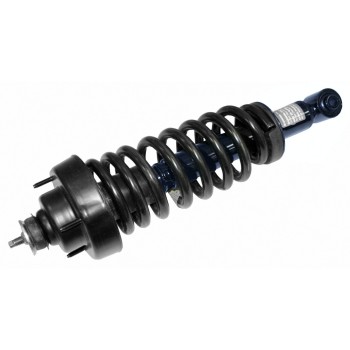Suspension Strut and Coil Spring Assembly