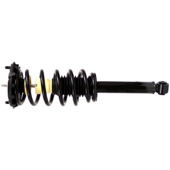 Suspension Strut and Coil Spring Assembly