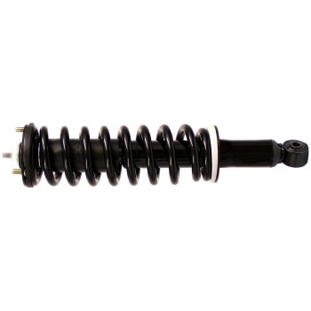 Suspension Strut and Coil Spring Assembly