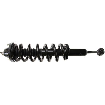 Suspension Strut and Coil Spring Assembly
