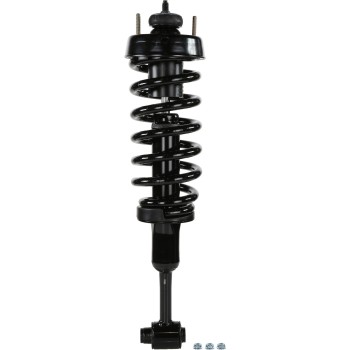 Suspension Strut and Coil Spring Assembly