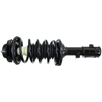 Suspension Strut and Coil Spring Assembly