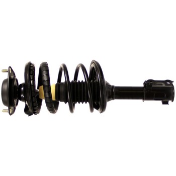Suspension Strut and Coil Spring Assembly