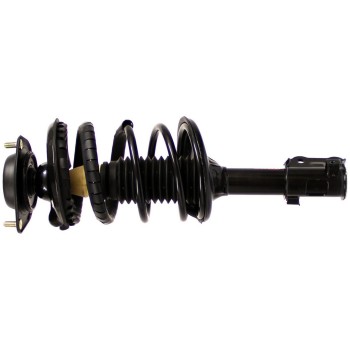 Suspension Strut and Coil Spring Assembly
