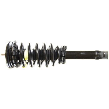 Suspension Strut and Coil Spring Assembly