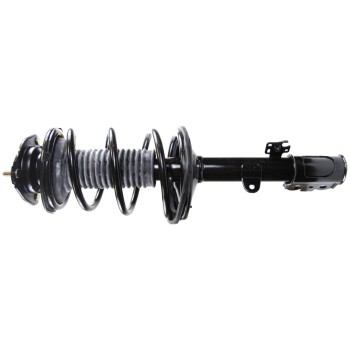 Suspension Strut and Coil Spring Assembly
