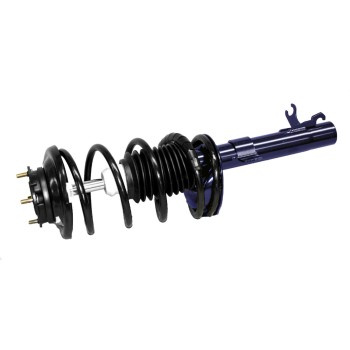 Suspension Strut and Coil Spring Assembly