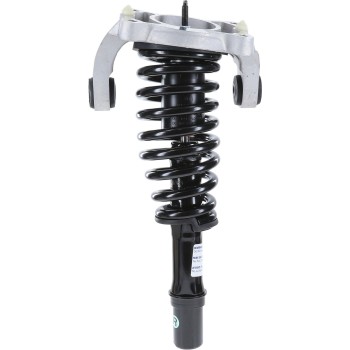 Suspension Strut and Coil Spring Assembly