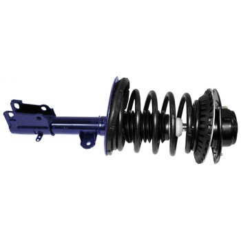 Suspension Strut and Coil Spring Assembly