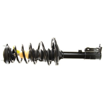 Suspension Strut and Coil Spring Assembly