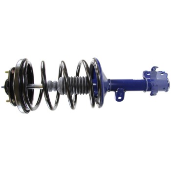 Suspension Strut and Coil Spring Assembly