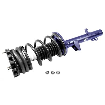 Suspension Strut and Coil Spring Assembly