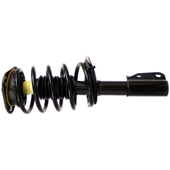 Suspension Strut and Coil Spring Assembly