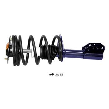 Suspension Strut and Coil Spring Assembly
