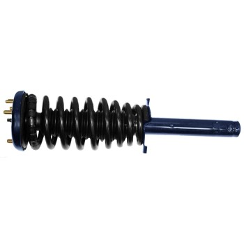 Suspension Strut and Coil Spring Assembly