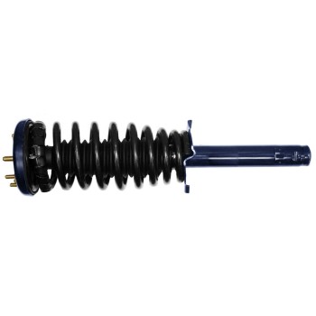 Suspension Strut and Coil Spring Assembly