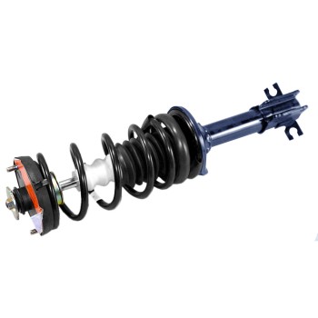 Suspension Strut and Coil Spring Assembly
