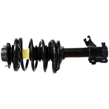 Suspension Strut and Coil Spring Assembly