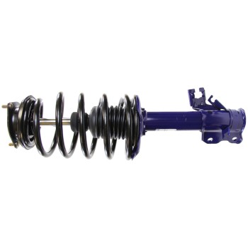 Suspension Strut and Coil Spring Assembly