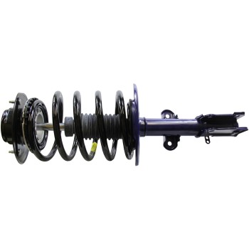 Suspension Strut and Coil Spring Assembly