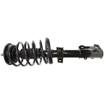 Suspension Strut and Coil Spring Assembly