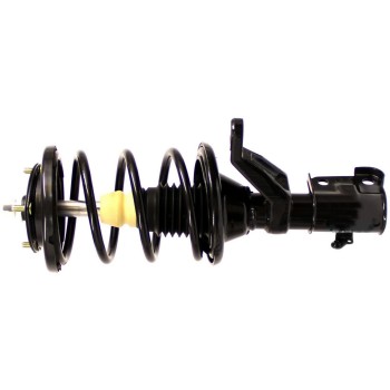 Suspension Strut and Coil Spring Assembly