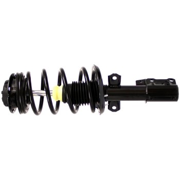 Suspension Strut and Coil Spring Assembly