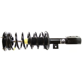 Suspension Strut and Coil Spring Assembly