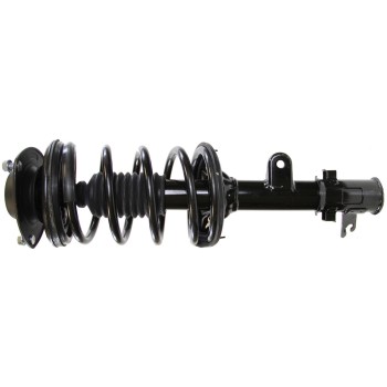Suspension Strut and Coil Spring Assembly
