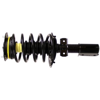 Suspension Strut and Coil Spring Assembly