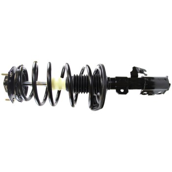 Suspension Strut and Coil Spring Assembly
