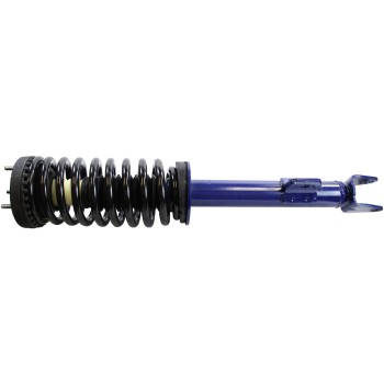Suspension Strut and Coil Spring Assembly