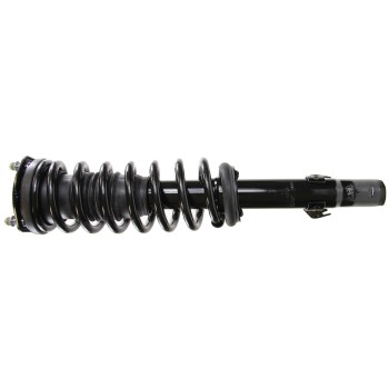 Suspension Strut and Coil Spring Assembly