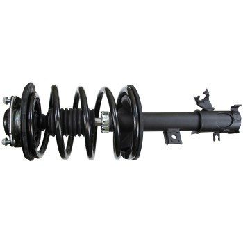 Suspension Strut and Coil Spring Assembly