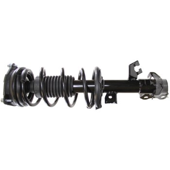 Suspension Strut and Coil Spring Assembly