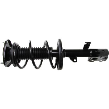 Suspension Strut and Coil Spring Assembly