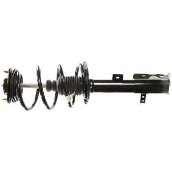 Suspension Strut and Coil Spring Assembly