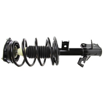 Suspension Strut and Coil Spring Assembly