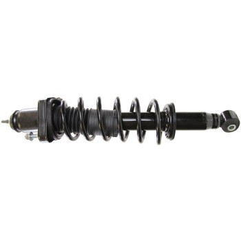 Suspension Strut and Coil Spring Assembly