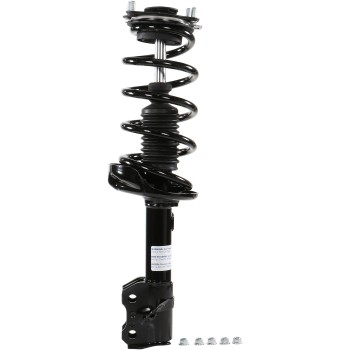 Suspension Strut and Coil Spring Assembly