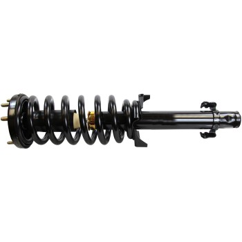 Suspension Strut and Coil Spring Assembly